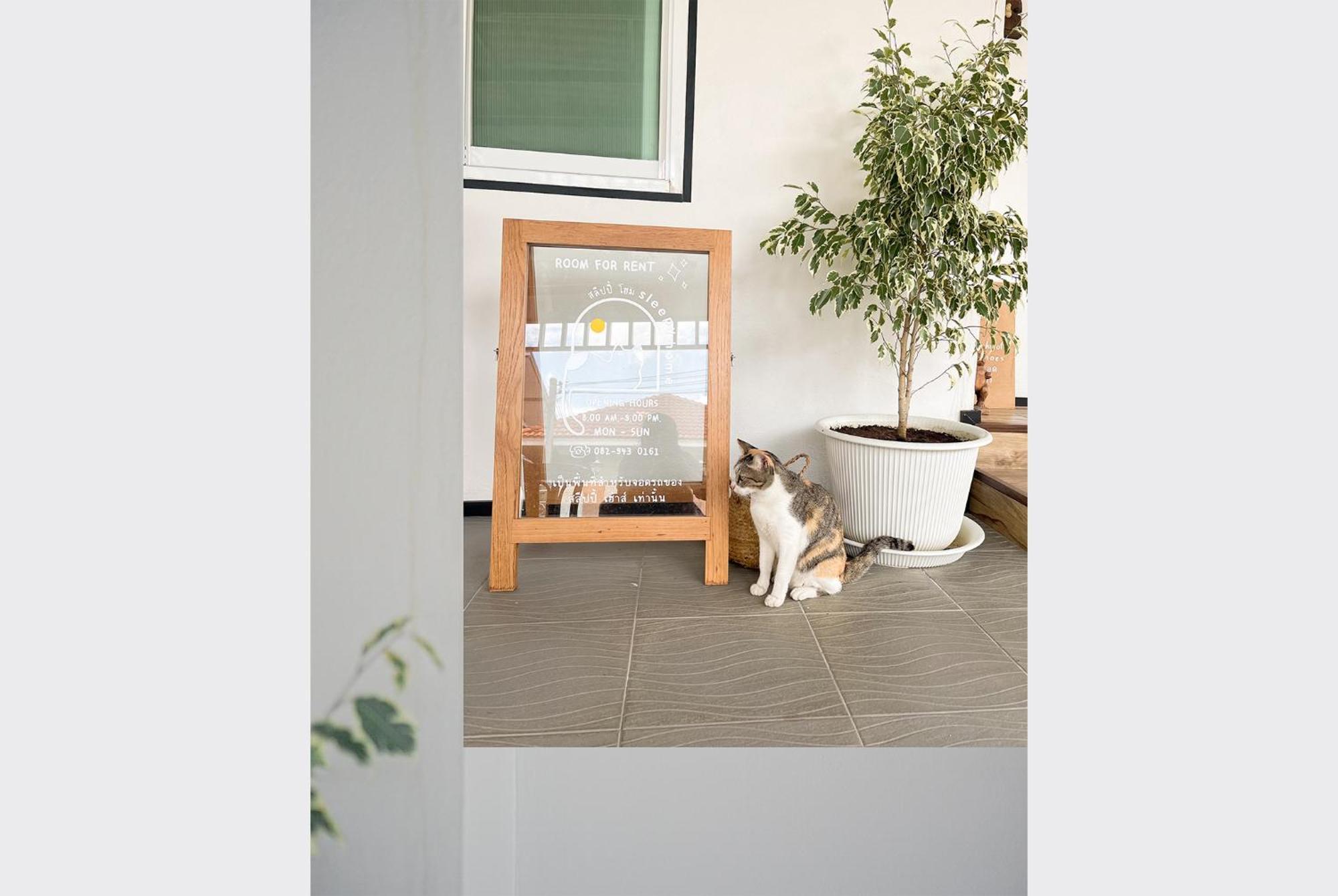 مبيت وإفطار Sleepy House تْشينيغْرايْ المظهر الخارجي الصورة