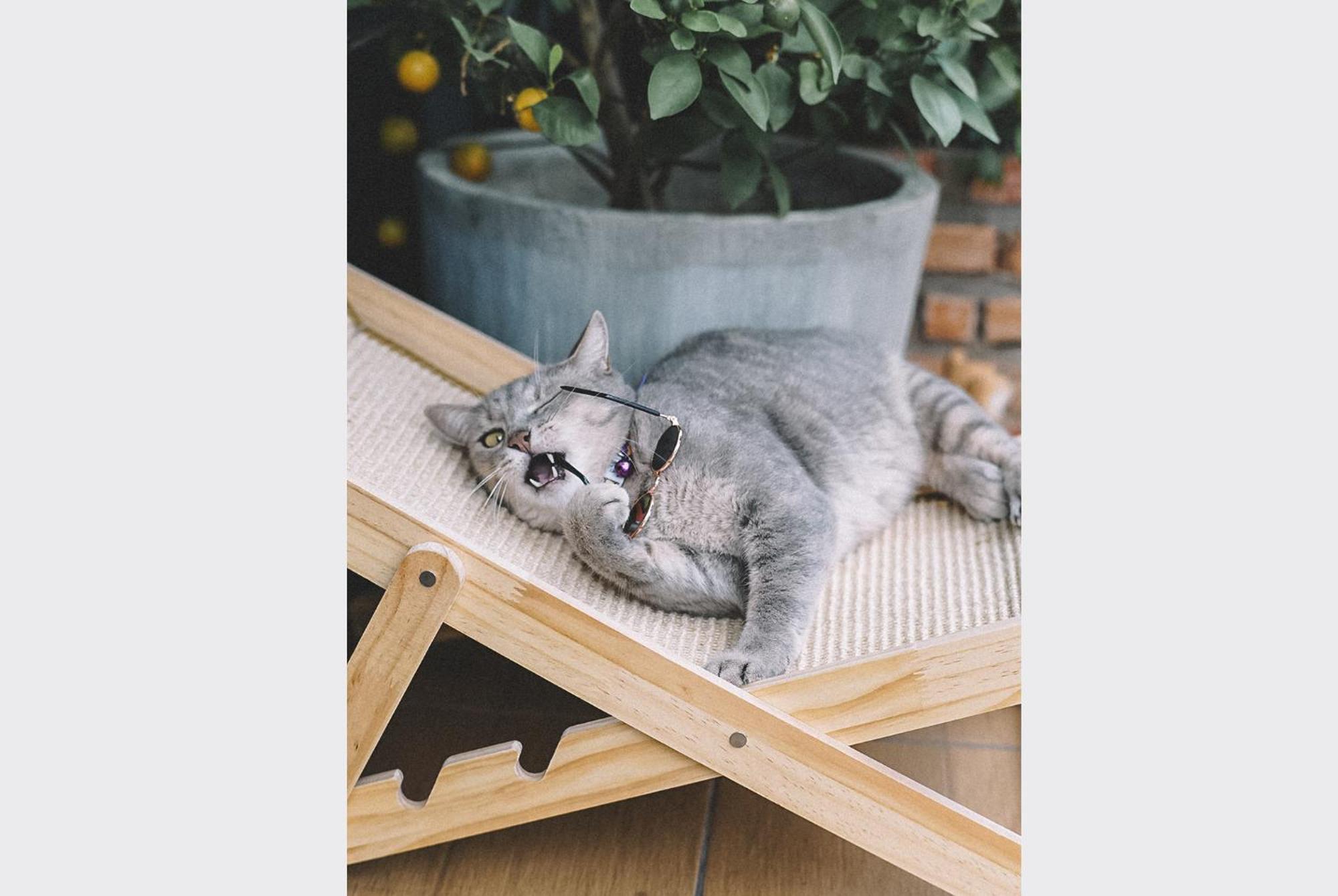 مبيت وإفطار Sleepy House تْشينيغْرايْ المظهر الخارجي الصورة