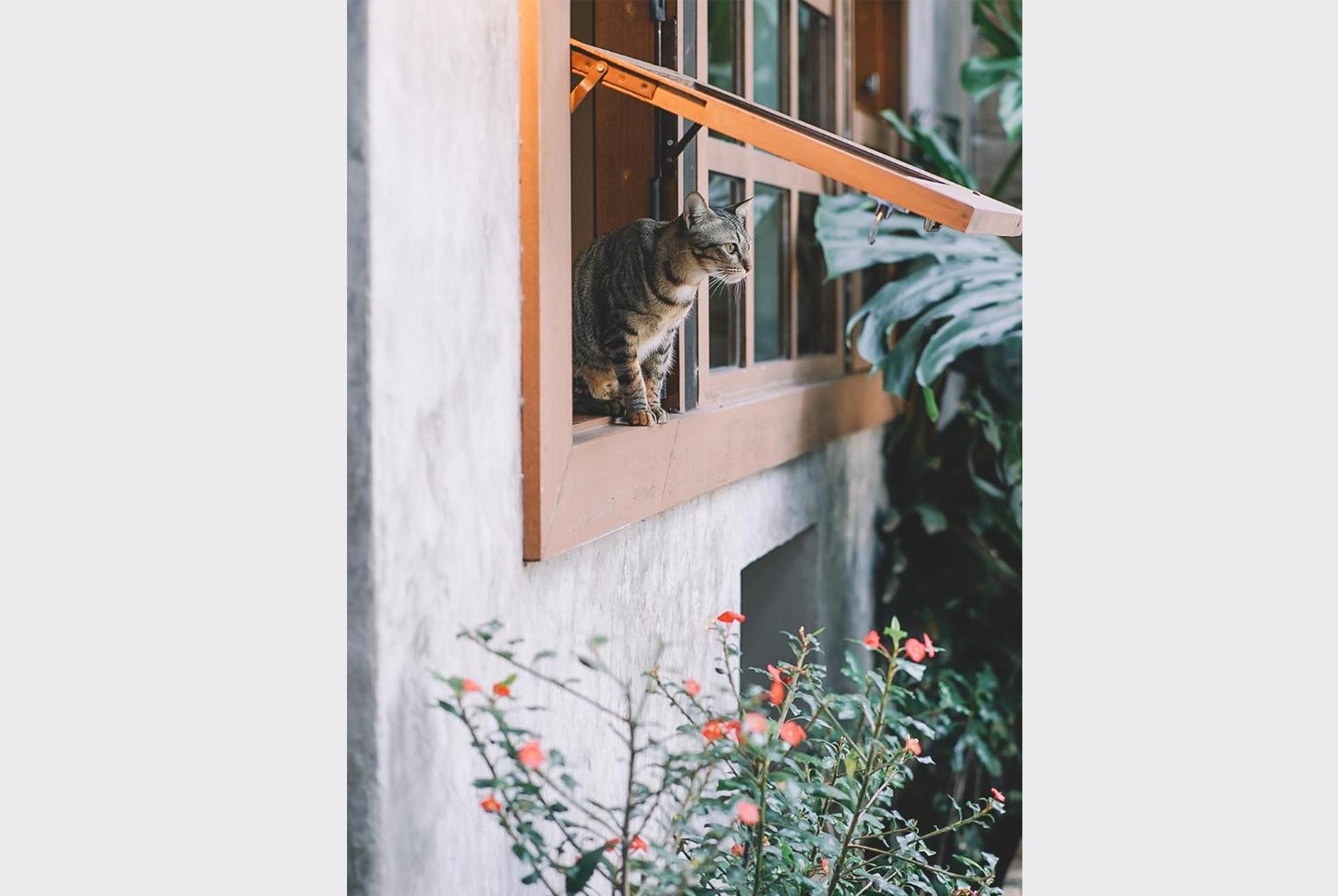 مبيت وإفطار Sleepy House تْشينيغْرايْ المظهر الخارجي الصورة