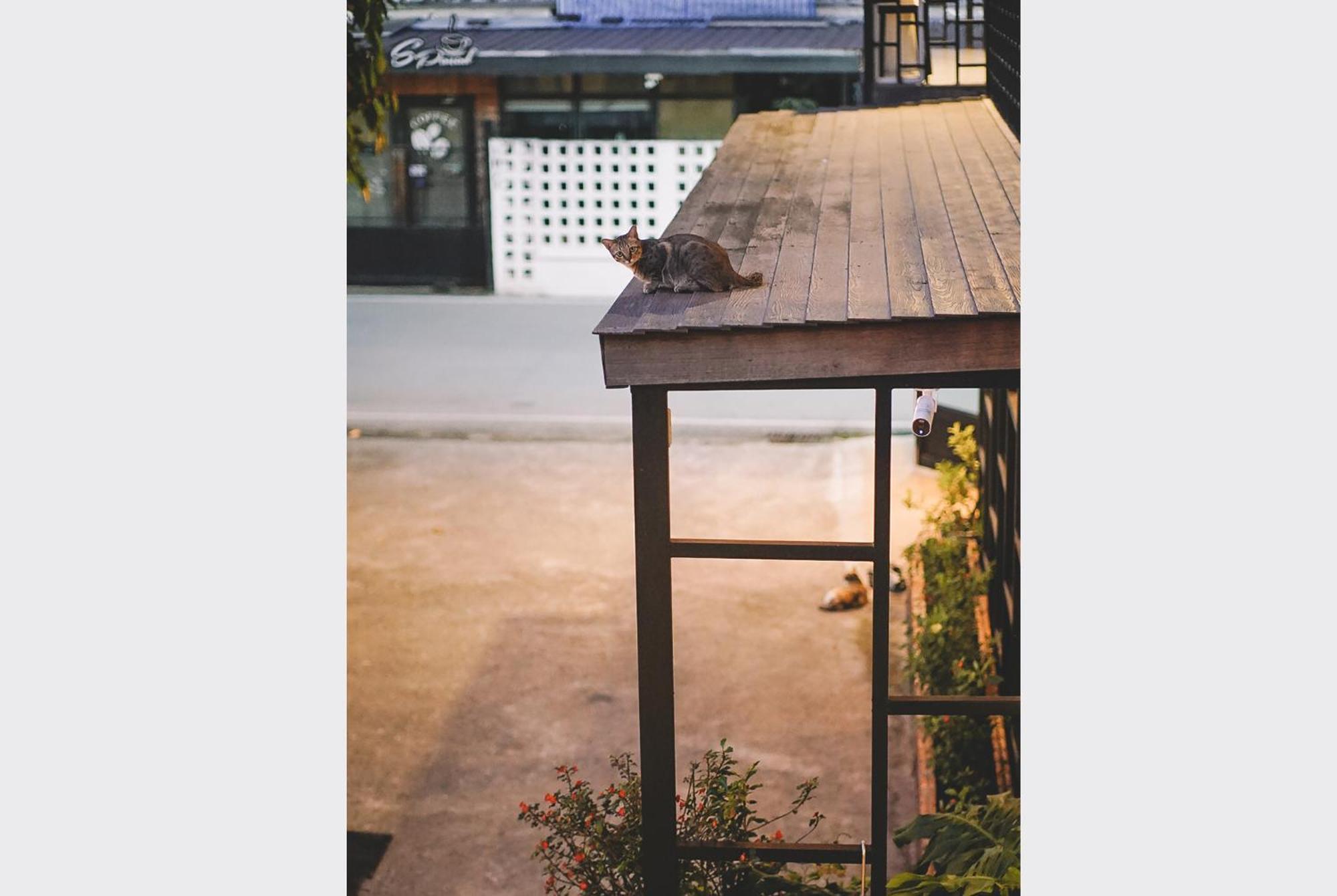مبيت وإفطار Sleepy House تْشينيغْرايْ المظهر الخارجي الصورة